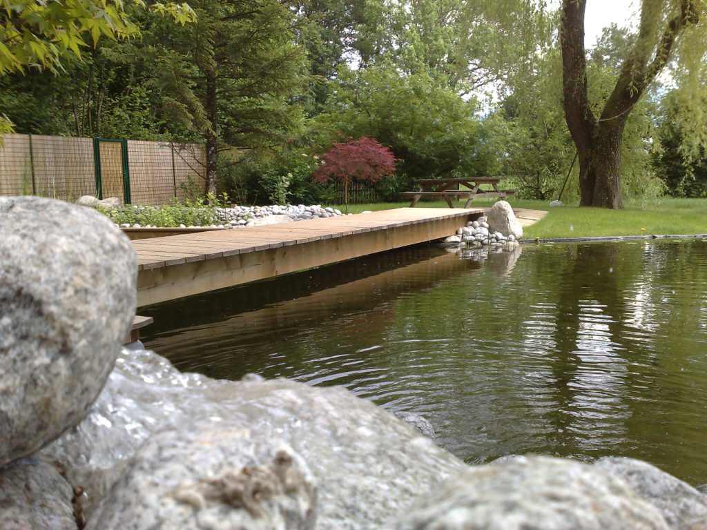 Bassin de jardin passerelle en bois et cascade.